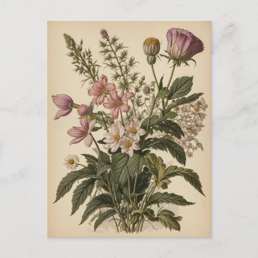 Vintage Illustration of Wildflowers  Briefkaart (Voorkant)