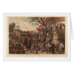 Vintage in Californië (0604A)