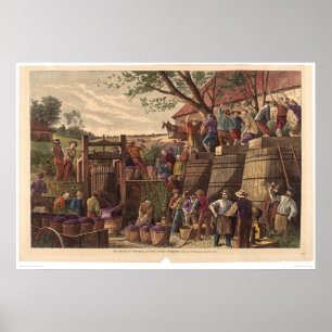 Vintage in Californië (0604A) Poster