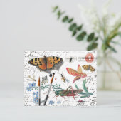 Vintage Insect Letter and postmark Briefkaart (Staand voorkant)