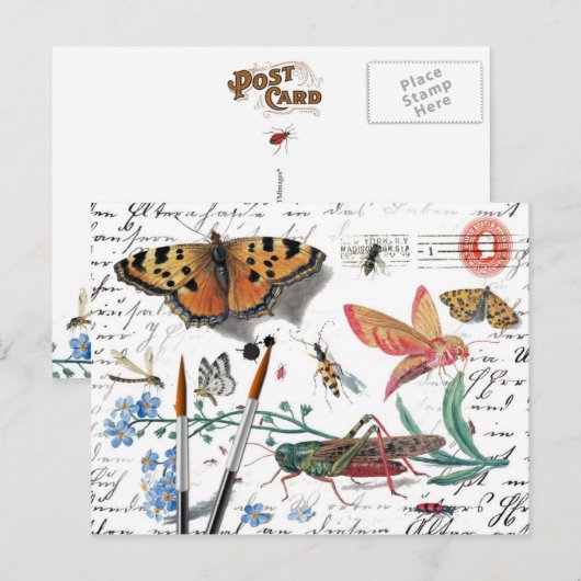 Vintage Insect Letter and postmark Briefkaart (Voorkant / Achterkant)