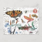 Vintage Insect Letter and postmark Briefkaart (Voorkant)