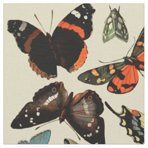 Vintage insectenvlinders op beige achtergrond stof