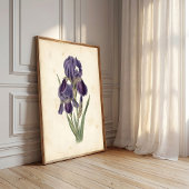 Vintage Iris Boho Canvasprint Poster