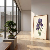 Vintage Iris Boho Canvasprint Poster