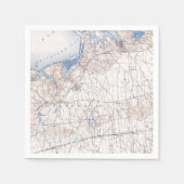 Vintage Islip Brookhaven Long Island Servet (Voorkant)