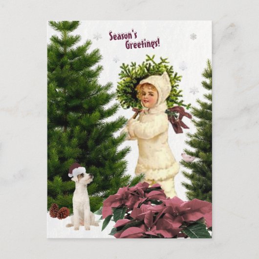 Vintage Jack Russell en Pink Poinsettias Briefkaar Briefkaart (Voorkant)