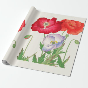 Vintage Japanse Klaproos Botanische Kunst 1917 Cadeaupapier