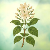 Vintage Jasmine Raamsticker (Vel 3)