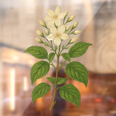 Vintage Jasmine Raamsticker (Vel 2)