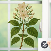 Vintage Jasmine Raamsticker (Huis)