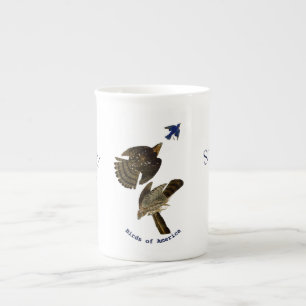 Vintage John Audubon Stanley Hawk Porselein Kop