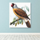Vintage John Keulemans Mascarene Parrot Canvas Afdruk (Insitu (Houten vloer))