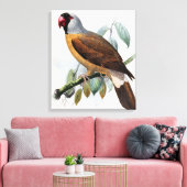 Vintage John Keulemans Mascarene Parrot Canvas Afdruk (Insitu (Woonkamer))