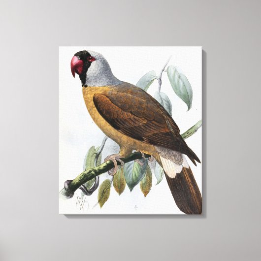 Vintage John Keulemans Mascarene Parrot Canvas Afdruk (Voorkant)