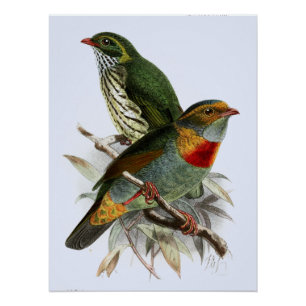 Vintage John Keulemans Roodbandroetfilter Perfect Poster