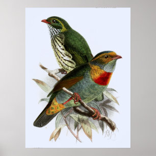 Vintage John Keulemans Roodbandroetfilter Poster