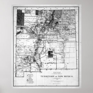 Vintage Kaart van New Mexico (1882) BW Poster