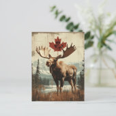 Vintage Kanada Elch Mit Kanadischem Ahornblatt Briefkaart (Staand voorkant)