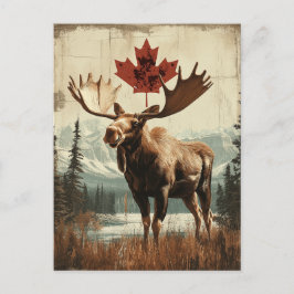 Vintage Kanada Elch Mit Kanadischem Ahornblatt Briefkaart