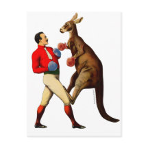 Vintage Kangaroo Boxer Boxer Sport