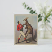 Vintage Kangaroo Boxing Sideshow Briefkaart (Staand voorkant)