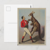 Vintage Kangaroo Boxing Sideshow Briefkaart (Voorkant / Achterkant)