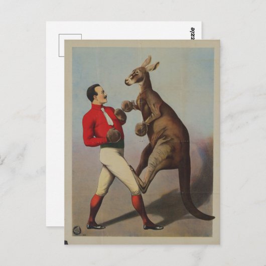 Vintage Kangaroo Boxing Sideshow Briefkaart (Voorkant / Achterkant)