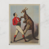 Vintage Kangaroo Boxing Sideshow Briefkaart (Voorkant)