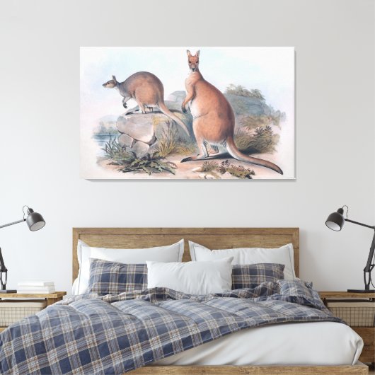 Vintage Kangaroos Canvas Afdruk (Insitu (Slaapkamer))