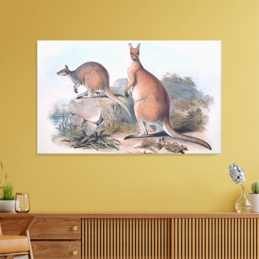 Vintage Kangaroos Canvas Afdruk (Insitu (Woonkamer))