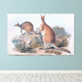 Vintage Kangaroos Canvas Afdruk (Insitu (Houten vloer))