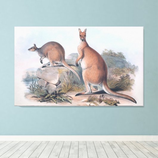 Vintage Kangaroos Canvas Afdruk (Insitu (Houten vloer))