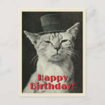 Vintage kat in hoed Verjaardag
