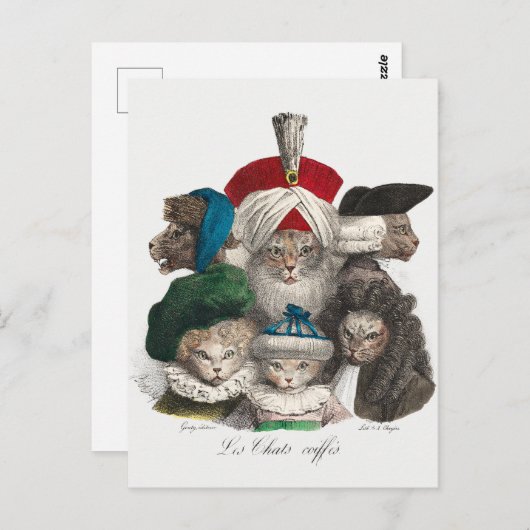 Vintage katten Briefkaart (Voorkant / Achterkant)