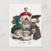 Vintage katten Briefkaart (Voorkant)