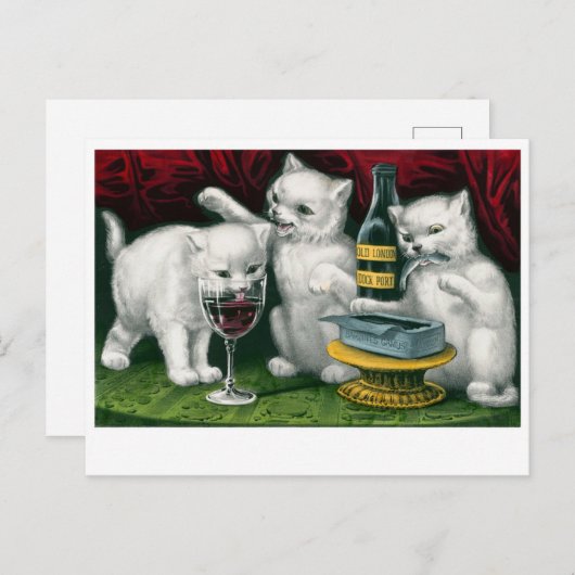 Vintage katten Briefkaart (Voorkant / Achterkant)