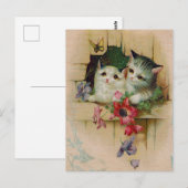 Vintage katten Briefkaart (Voorkant / Achterkant)