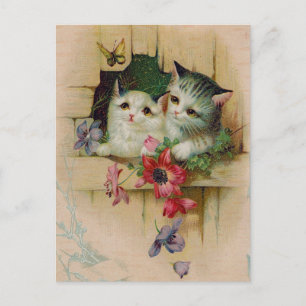 Vintage katten Briefkaart