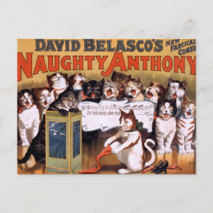 Vintage katten Briefkaart