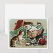 Vintage katten Briefkaart (Voorkant / Achterkant)