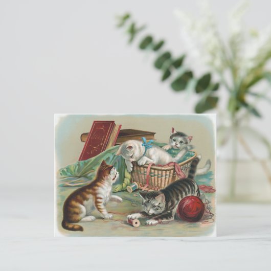 Vintage katten Briefkaart (Staand voorkant)
