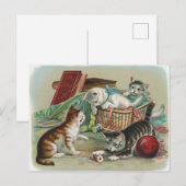 Vintage katten Briefkaart (Voorkant / Achterkant)