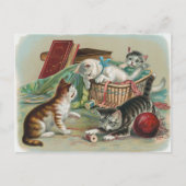 Vintage katten Briefkaart (Voorkant)