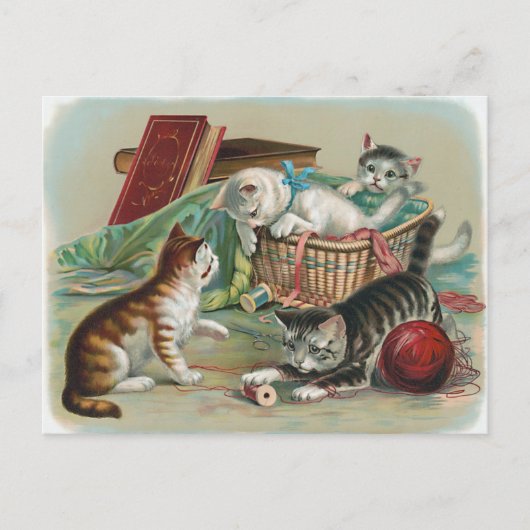 Vintage katten Briefkaart (Voorkant)