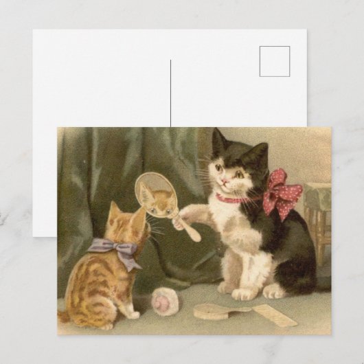 Vintage katten Briefkaart (Voorkant / Achterkant)