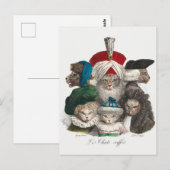 Vintage katten Briefkaart (Voorkant / Achterkant)