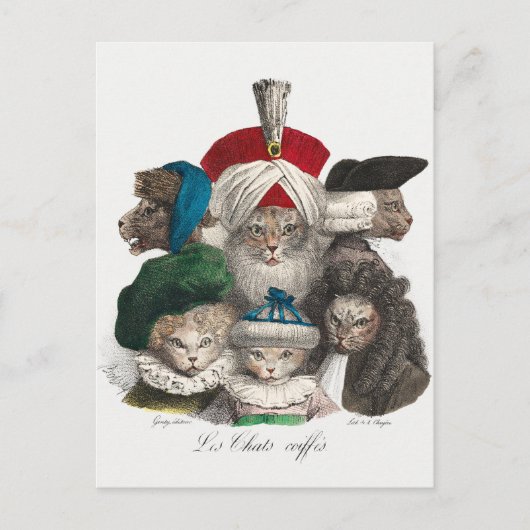 Vintage katten Briefkaart (Voorkant)