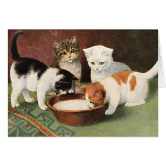 Vintage Katzen und Milch