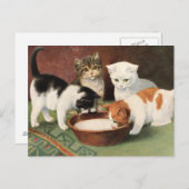 Vintage Katzen und Milch Briefkaart (Voorkant / Achterkant)